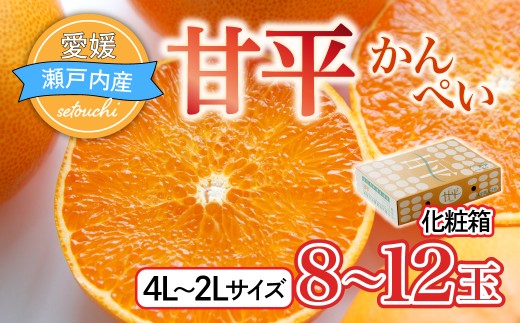【先行受付】甘平(かんぺい)化粧箱　4L～2Lサイズ　8～12玉　愛媛県JAおちいまばり【1439146】