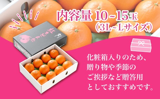 【先行受付】紅まどんな　化粧箱　3L～L　10～15玉　愛媛県　JAおちいまばり