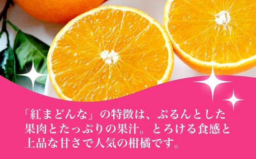 【先行受付】紅まどんな　化粧箱　3L～L　10～15玉　愛媛県　JAおちいまばり