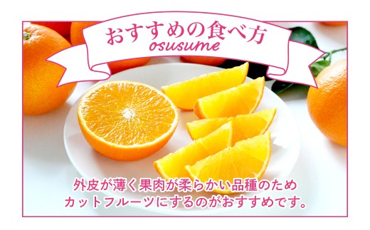 【先行受付】紅まどんな　化粧箱　3L～L　10～15玉　愛媛県　JAおちいまばり