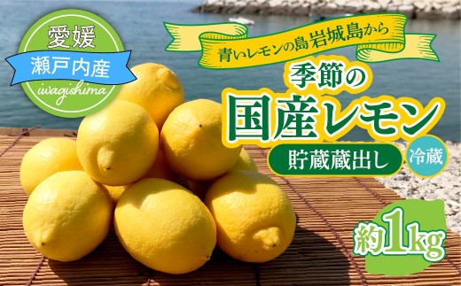 青いレモンの島　貯蔵蔵出しレモン約1kg【お試しセット】(冷蔵便発送)【配送不可地域：離島】