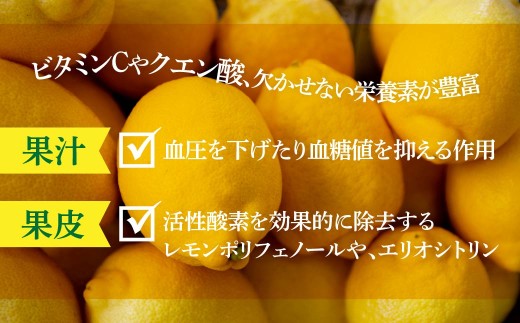 青いレモンの島　貯蔵蔵出しレモン約1kg【お試しセット】(冷蔵便発送)【配送不可地域：離島】