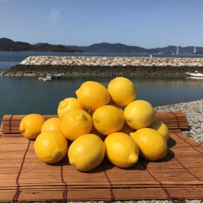 青いレモンの島　国産レモン約3kg(冷蔵便発送)※サイズはS玉〜2L玉のいずれかもしくは混載【配送不可地域：離島】【1299053】