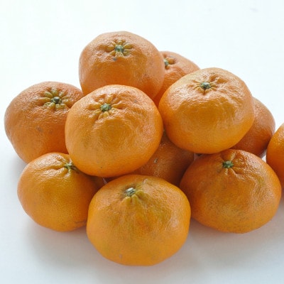 ãå
è¡åä»ãäººæ°ææ©ãçå¹³(ãããºã)ã¬ã®ã¥ã©ãŒç®±ã5kgãæåªçãJAãã¡ããŸã°ããé
éäžå¯å°åïŒé¢å³¶ãã1622635ã