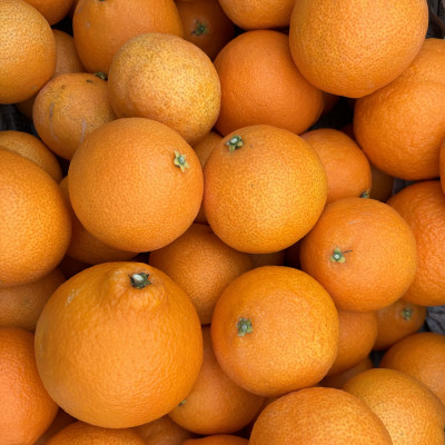 【12月上旬〜順次配送】【訳あり】シュガーファームのまどんな3kg サイズミックス【1446622】