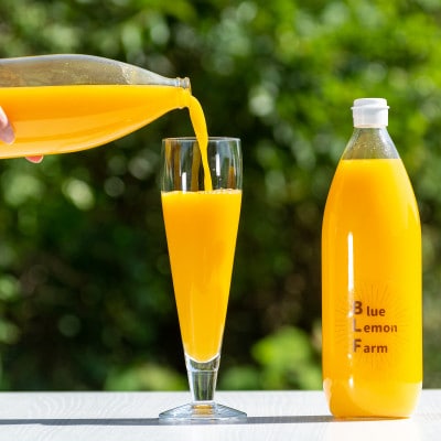 諢帛ェ帙繝悶Ν繝シ繝ャ繝「繝ウ繝輔ぃ繝シ繝縺ョ縺斐¥縺励⊂繧翫∩縺九s繧ク繝・繝シ繧ケ縲1L縲1譛ャ縲1489651縲