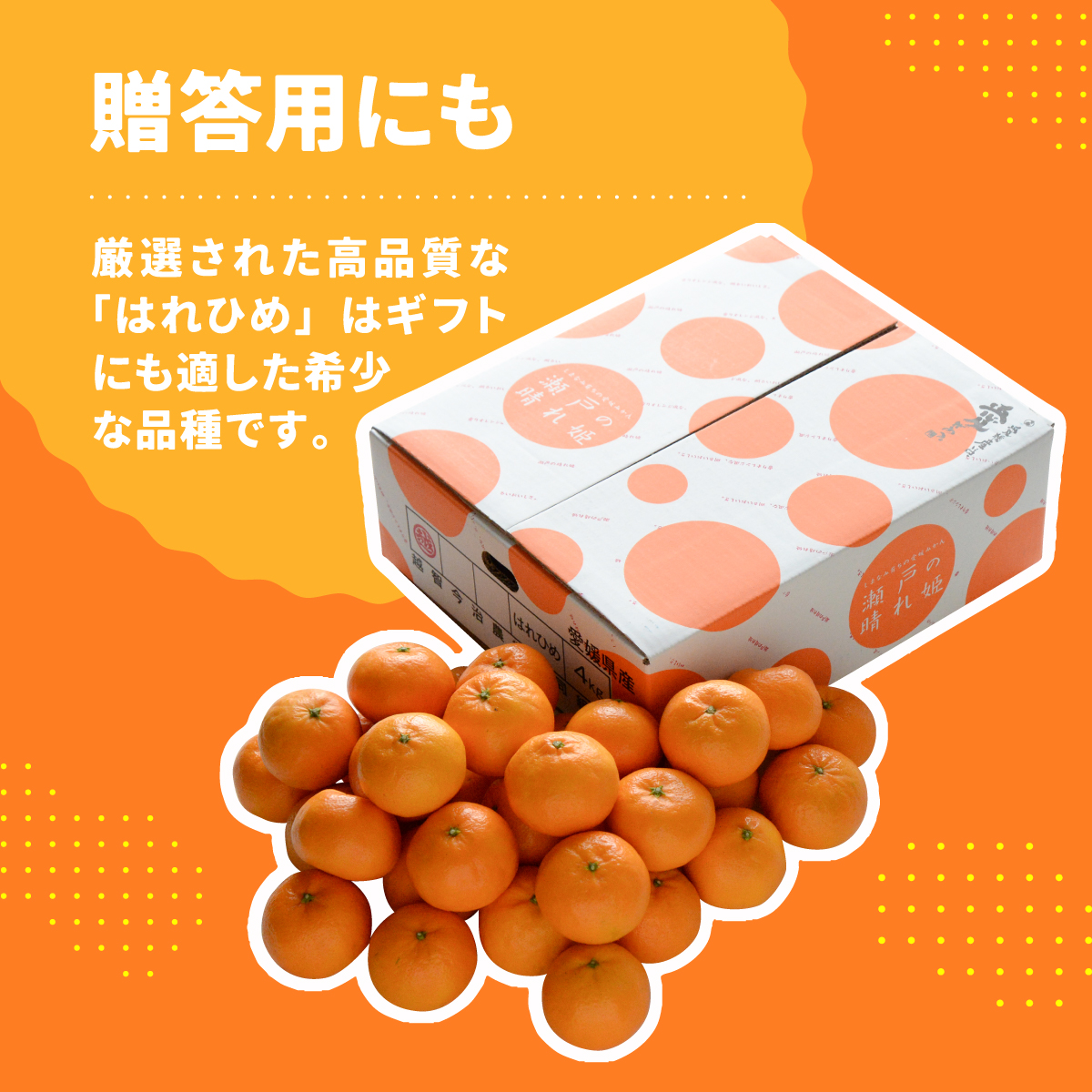 【先行受付】瀬戸の晴れ姫　2L〜Sサイズ　4kg(25〜60玉)　愛媛県　JAおちいまばり