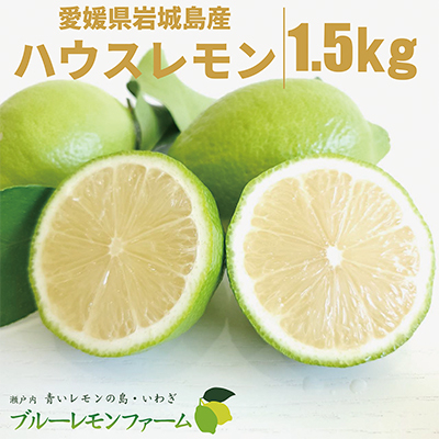 愛媛　ブルーレモンファームのハウス栽培レモン　約1.5kg　【2024年11月中旬〜順次発送】【1557177】