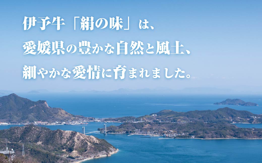 伊予牛「絹の味」黒毛和牛　小間切れ400g【配送不可地域：離島】