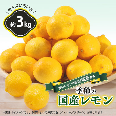 【7月出荷】　貯蔵蔵出し国産レモン約3kg(冷蔵便発送)※サイズはS玉〜2L玉のいずれか、混載【配送不可地域：離島】【1299053】