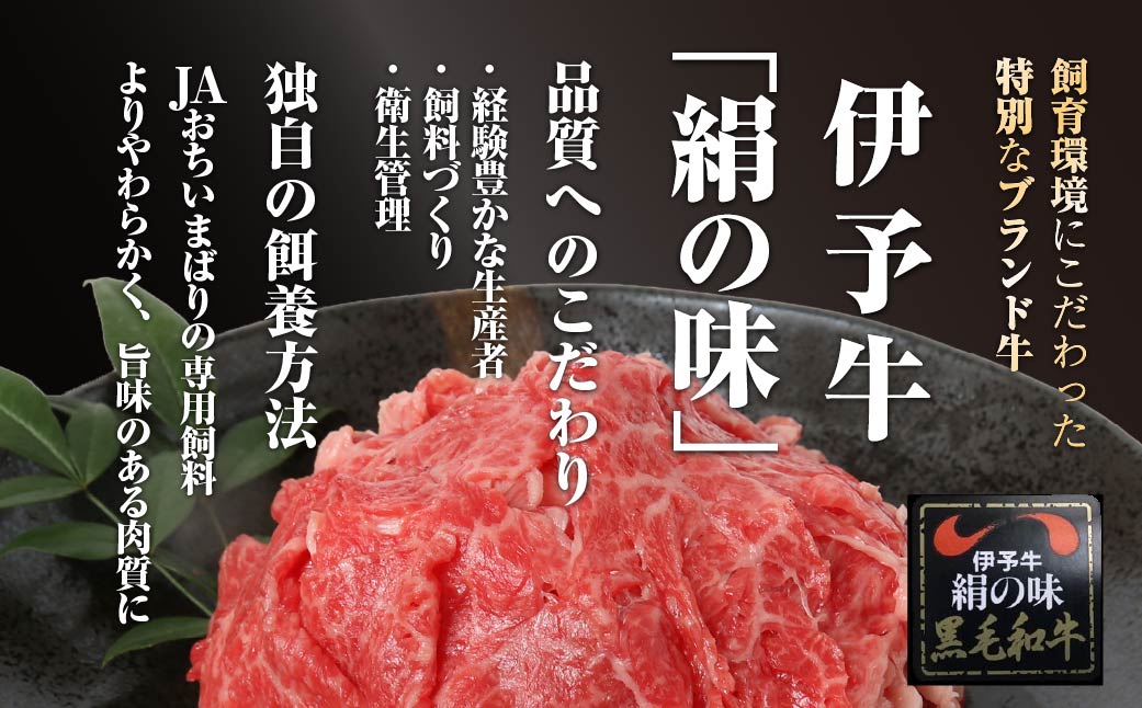 伊予牛「絹の味」黒毛和牛　小間切れ800g【配送不可地域：離島】