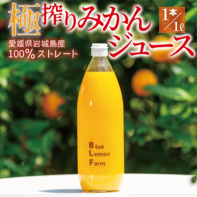 愛媛　ブルーレモンファームのごくしぼりみかんジュース　1L　1本【1489651】