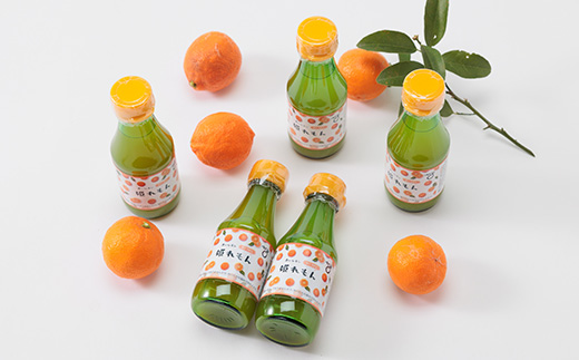 瀬戸内岩城島　姫レモン果汁　150ml×5本【1233336】