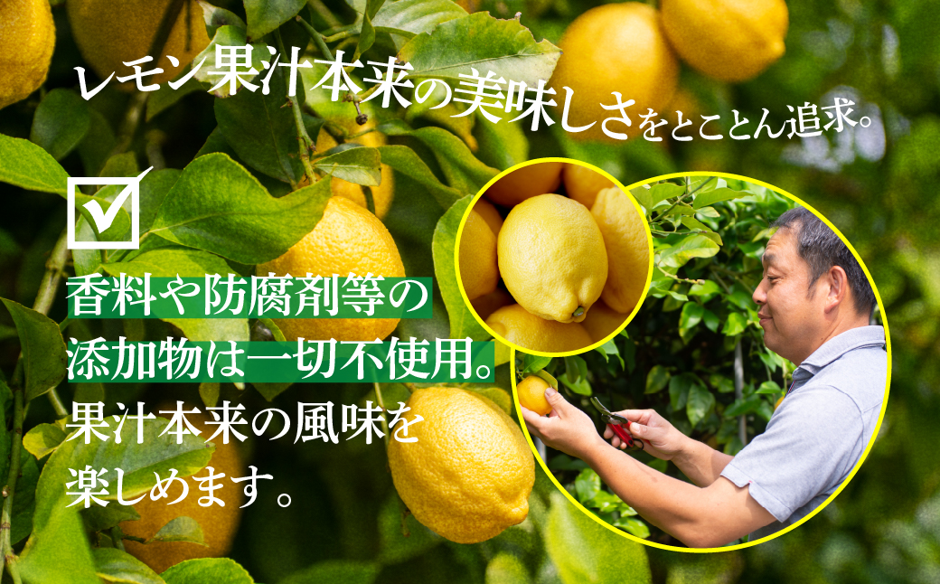 青いレモンの島　レモン果汁　150ml×6本