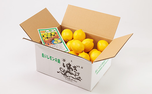 青いレモンの島　レモン約3kg【1092711】
