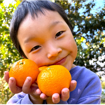 愛媛 シュガーファーム 丸搾り みかんジュース ストレート1000ml×4本【1514789】