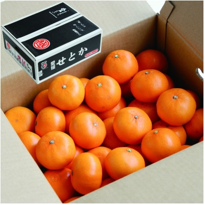 ãå
è¡åä»ãããšããã¬ã®ã¥ã©ãŒç®±ã5kgãæåªçJAãã¡ããŸã°ããé
éäžå¯å°åïŒé¢å³¶ãã1622636ã