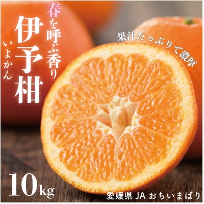 愛媛県産伊予柑 10kg　2L〜L【1643766】