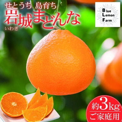 岩城まどんな　約3kg【限定35箱】ご家庭用　※紅まどんなと同品種【1581787】