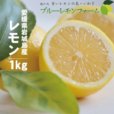 愛媛　ブルーレモンファームのレモン　約1kg　【2024年4月〜順次発送】【1489653】
