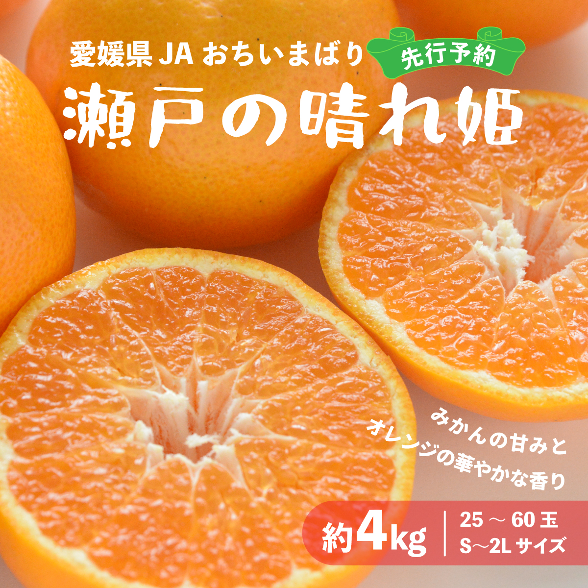 【先行受付】瀬戸の晴れ姫　2L〜Sサイズ　4kg(25〜60玉)　愛媛県　JAおちいまばり