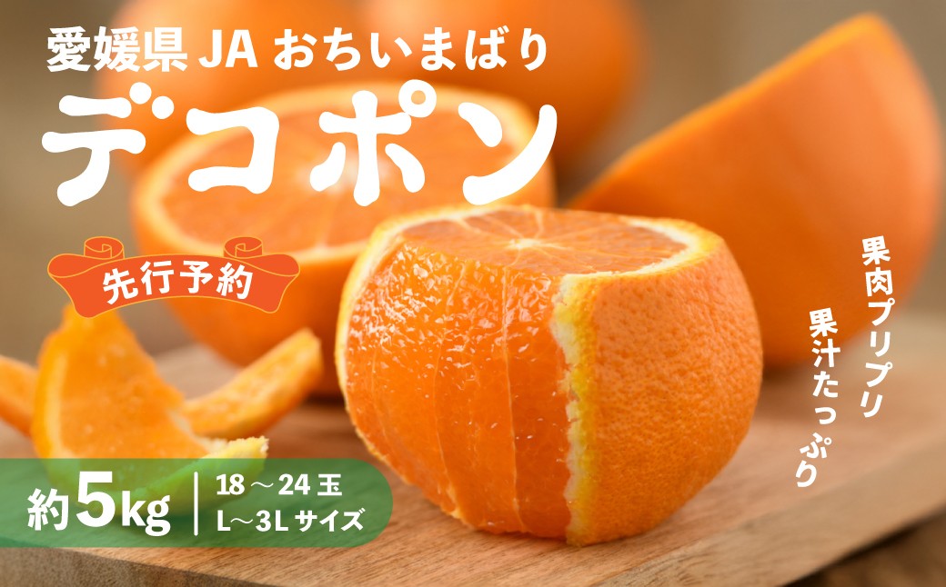 【先行予約】瀬戸内のデコポン 約5kg 3L～L　18玉～24玉 | でこぽん 国産 大きい みかん フルーツ 愛媛県産 愛媛県 今治 柑橘類 甘い デコポン サイズ 甘いミカン JA デコポン 果物 JA選果品 上島・今治産　【1643861】