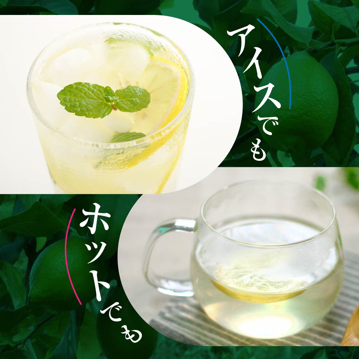もぎたてレモン(粉末清涼飲料)10袋セット【1123667】