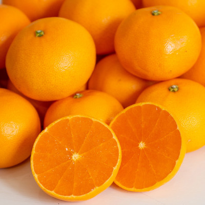 愛媛　ブルーレモンファームのせとか　2.5kg　サイズ混合【数量限定】【1489640】