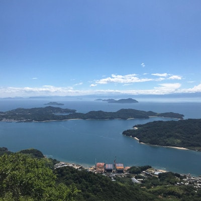 青いレモンの島　国産レモン約3kg(冷蔵便発送)※サイズはS玉〜2L玉のいずれかもしくは混載【配送不可地域：離島】【1299053】