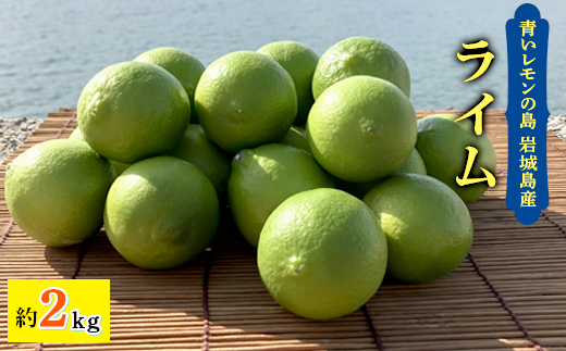 青いレモンの島　ライム約2kg【1343137】