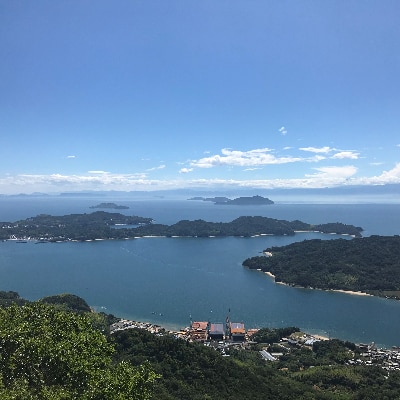 上島町岩城島名産 芋菓子袋25袋【1149890】|JALふるさと納税|JALの