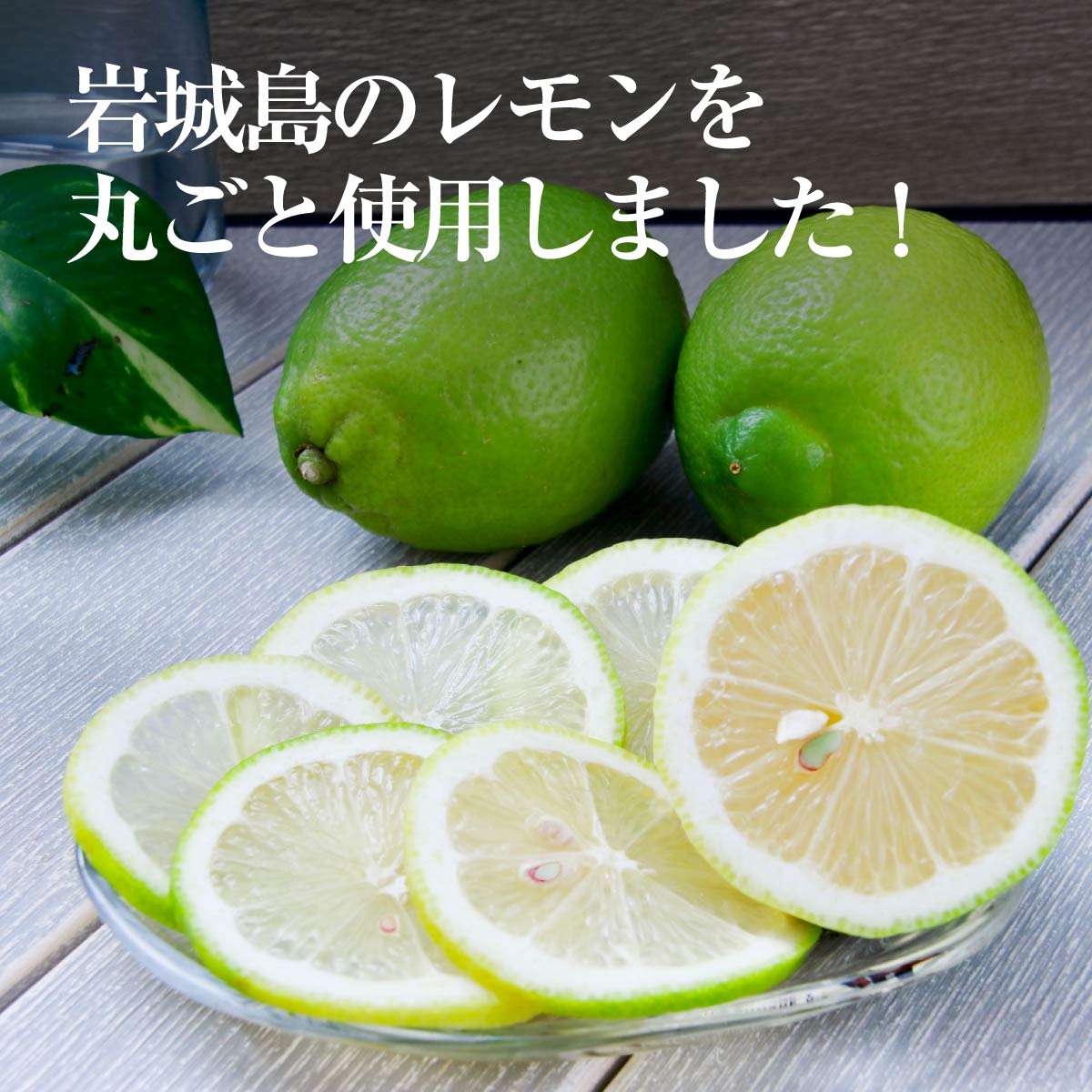 もぎたてレモン(粉末清涼飲料)10袋セット【1123667】