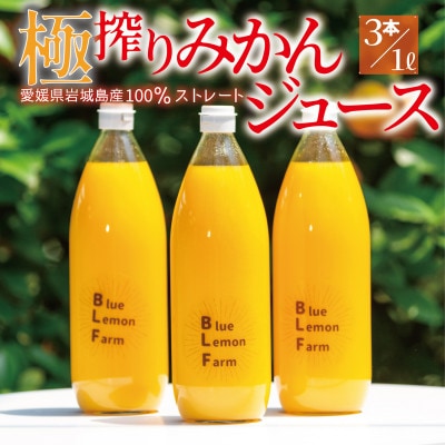 愛媛　ブルーレモンファームのごくしぼりみかんジュース　1L　3本【1489663】