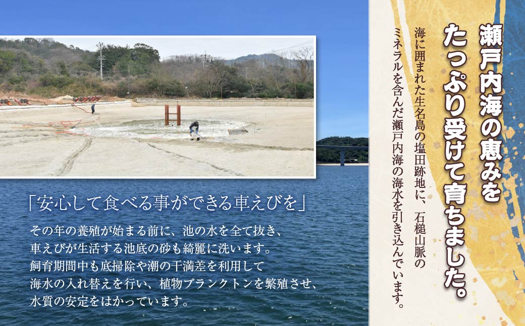 急速冷凍活きな車えび【有頭5〜7尾(約170g)×2袋セット】【配送不可地域：離島】