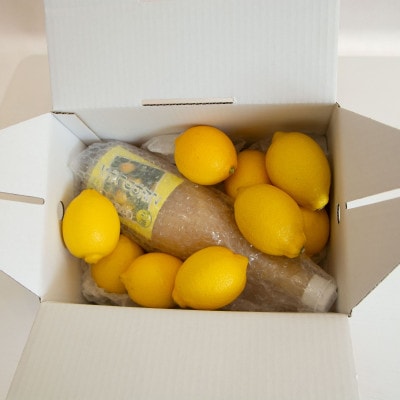 愛媛　ブルーレモンファームのレモン果汁1本とレモン約1kg【1489690】