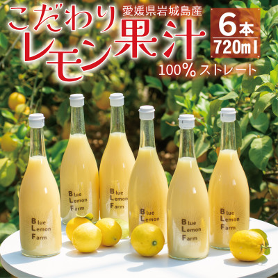 愛媛　ブルーレモンファームのレモン果汁　720ml×6本セット【1489706】