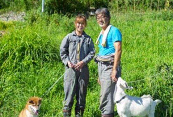 【R8年産】 新米 石墨清流米 特別栽培米 コシヒカリ 10kg ｜ 減化学肥料 減農薬 令和8年度産 愛媛県久万高原町 米 ※離島への配送不可 ※2026年10月上旬頃より順次発送予定