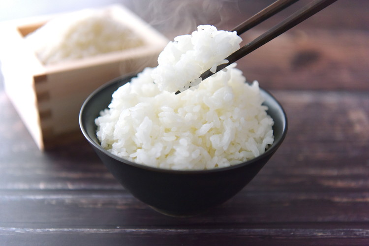 【R8年産】 新米 石墨清流米 特別栽培米 コシヒカリ 10kg ｜ 減化学肥料 減農薬 令和8年度産 愛媛県久万高原町 米 ※離島への配送不可 ※2026年10月上旬頃より順次発送予定
