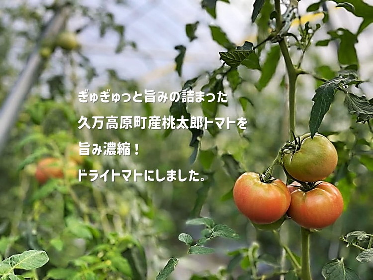 トマト 加工 食品「トマト農家のドライトマト 150g」｜野菜 ドライトマト 農家直送 家庭用 愛媛 久万高原町