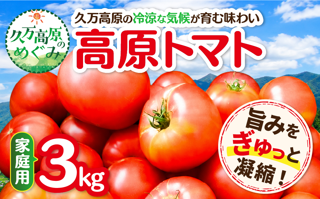 【家庭用】 高原トマト 3kg ｜愛媛県久万高原町産 特別栽培 産地直送 旬 夏野菜 甘み 旨み 新鮮 採れたて ※2026年7月～発送