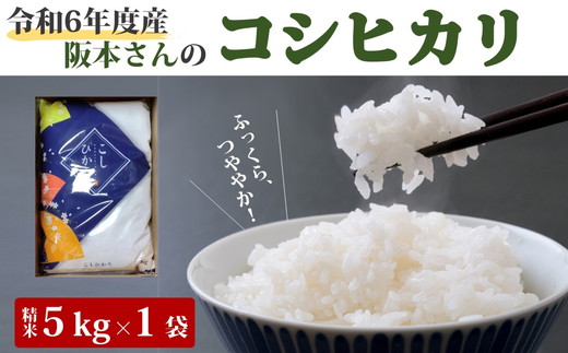 コシヒカリ 精米5kg 令和6年産 ｜ 久万高原町 清流 米 新米 備蓄 お米 こめ コメ 愛媛 ※2024年9月中旬頃より順次発送予定 ※離島への配送不可