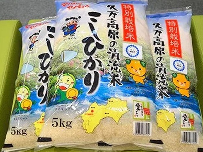 特別栽培米「久万高原清流米」令和5年コシヒカリ(5kg)×3袋セット