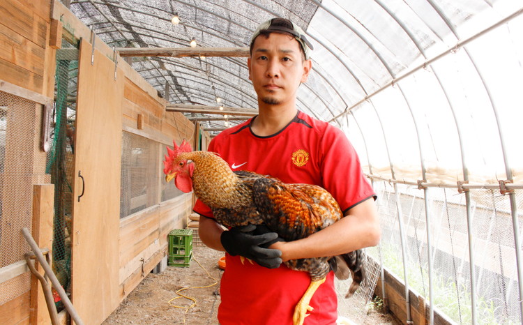 åªã£ãå°é¶ ããçŒãçšã»ããïŒ3ïœ4人åïŒïœ å²äž é¶æ²¹ ã¢ã¢ ã ã æåªç ä¹
äžé«åçº ä¹
äžå±±é€é¶ç ç©¶æ å°é¶ é¶è è 飿 æšã¿ ãã«ã·ãŒ å颚 é ããçŒã é¶ãã ãåãå¯ã ã°ã«ã¡ åœç£ å·èµ â»åæµ·éã»æ²çžã»é¢å³¶ãžã®é
éäžå¯