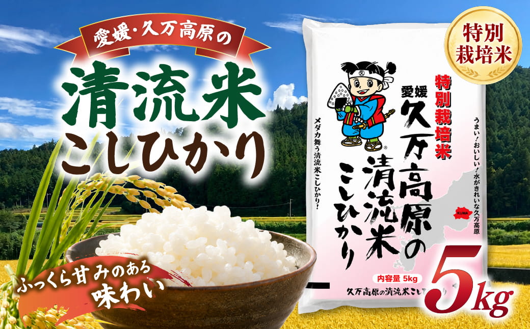 【R8年産】新米 久万高原町 清流米 こしひかり 5kg｜特別栽培米 減農薬 減化学肥料 コシヒカリ 白米 愛媛県産 米 ※2026年9月～発送