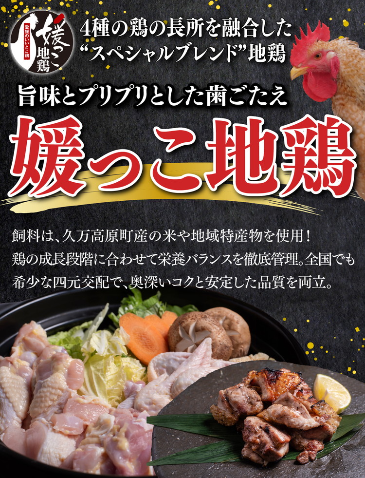 媛っこ地鶏 BBQセット 1kg（3～4人前）｜ モモ ムネ 手羽先 愛媛県 久万高原町 久万山養鶏研究所 地鶏 鶏肉 肉 食感 旨み アウトドア キャンプ 炭火焼 ジューシー お取り寄せ グルメ 国産 冷蔵 ※北海道・沖縄・離島への配送不可