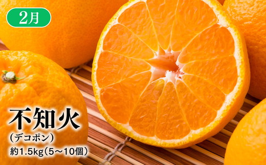 【定期便】【愛媛県共通返礼品】愛媛のかんきつ定期便（全6回）（日の丸みかん・紅まどんな・伊予柑・不知火・せとか・河内晩柑) ｜みかん 蜜柑 日の丸みかん 紅まどんな 伊予柑 不知火（デコポン） せとか 河内晩柑 柑橘 フルーツ 濃厚 甘味 甘い 愛媛みかん 国産 愛媛県産 果物 くだもの 絶品 美味しい お取り寄せ 愛媛 久万高原町 ※2025年11月下旬～2026年4月下旬頃に毎月1回発送