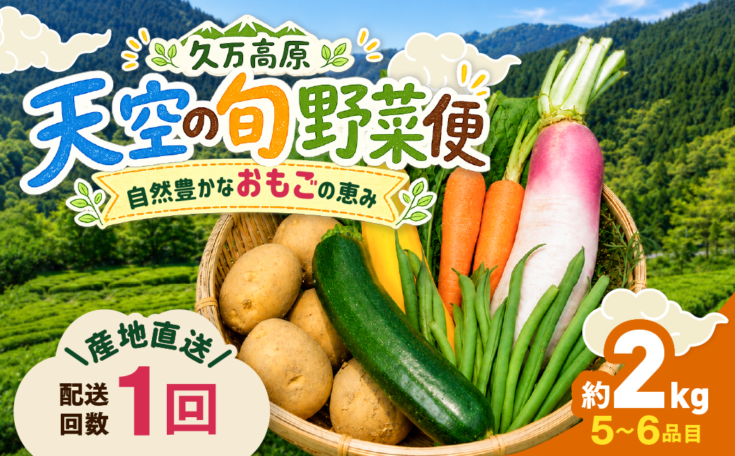 久万高原 天空の旬野菜便2kg 【面河特産品開発センター厳選】｜野菜詰め合わせ 5〜6品目 新鮮野菜 定期便 愛媛県産 産地直送