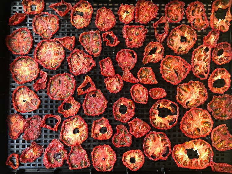 トマト 加工 食品「トマト農家のドライトマト 150g」｜野菜 ドライトマト 農家直送 家庭用 愛媛 久万高原町