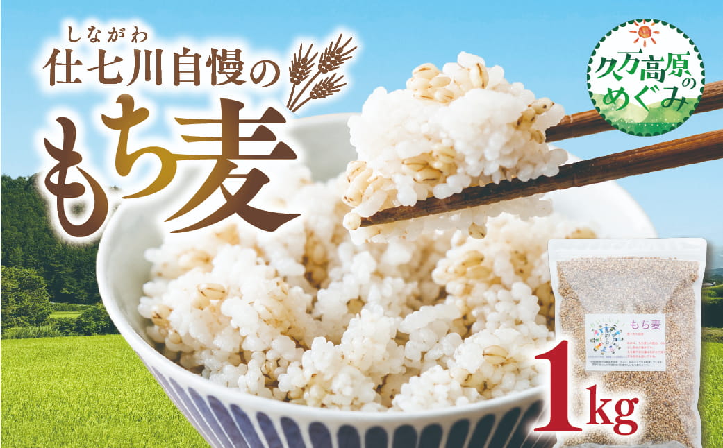 【先行予約】久万高原町 仕七川自慢 もち麦 1kg ｜ 雑穀 健康志向 腸活 食物繊維 ダイエット お取り寄せ 自然 愛媛県 仕七川地区の清流 ※2026年7月中旬頃より順次発送予定