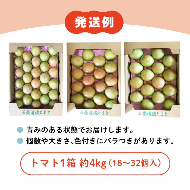 トマト 家庭用 そのままでも 美味しい 【石墨清流トマト】糖度9～11度 久万高原町 ※離島への配送不可 ※2025年7月下旬頃より順次発送予定